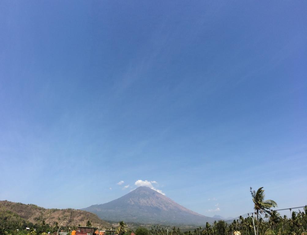 D'Sawah Amed Homestay & Warung Номер фото