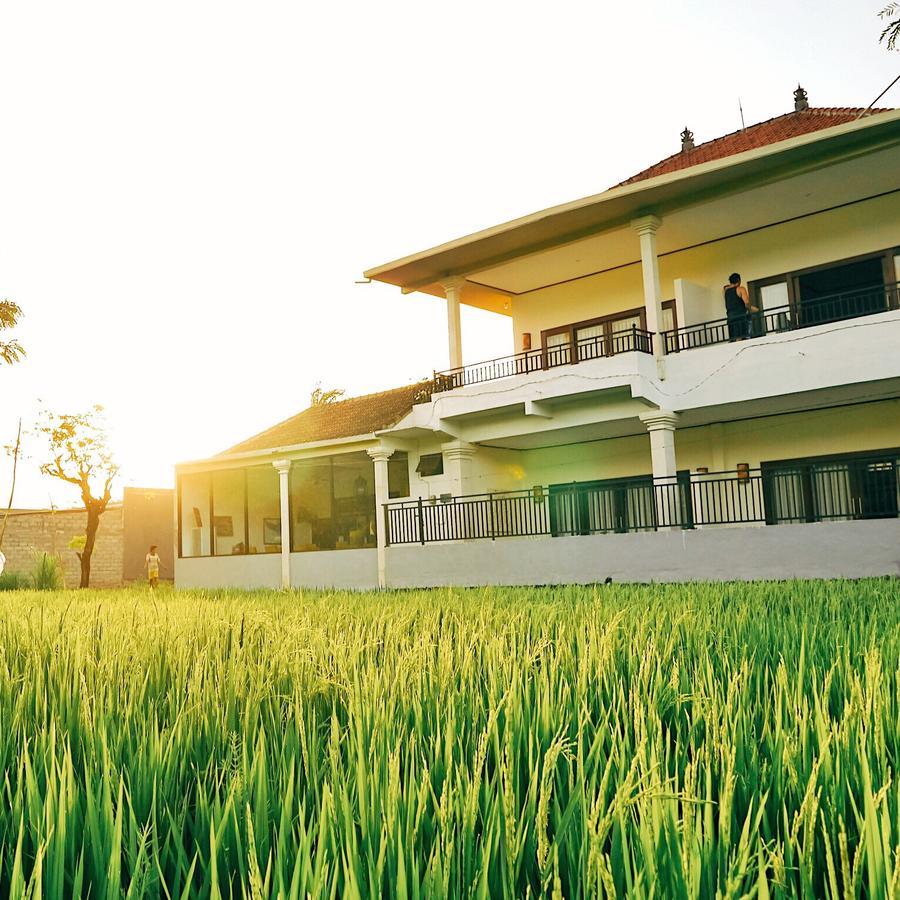 D'Sawah Amed Homestay & Warung Екстер'єр фото
