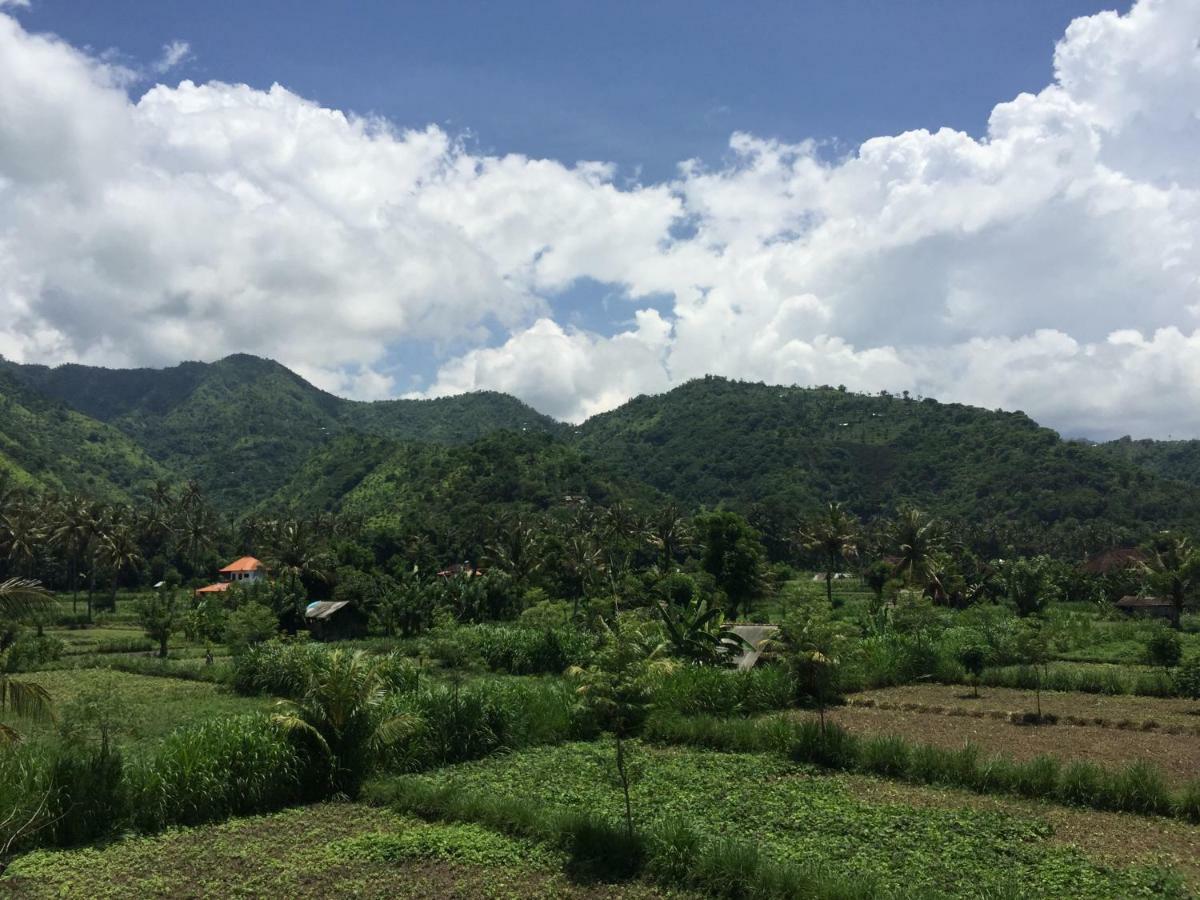 D'Sawah Amed Homestay & Warung Екстер'єр фото